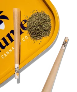 jenny kush 1oz